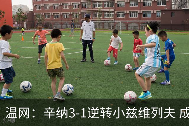 温网：辛纳3-1逆转小兹维列夫 成功卫冕夺生涯第五冠
